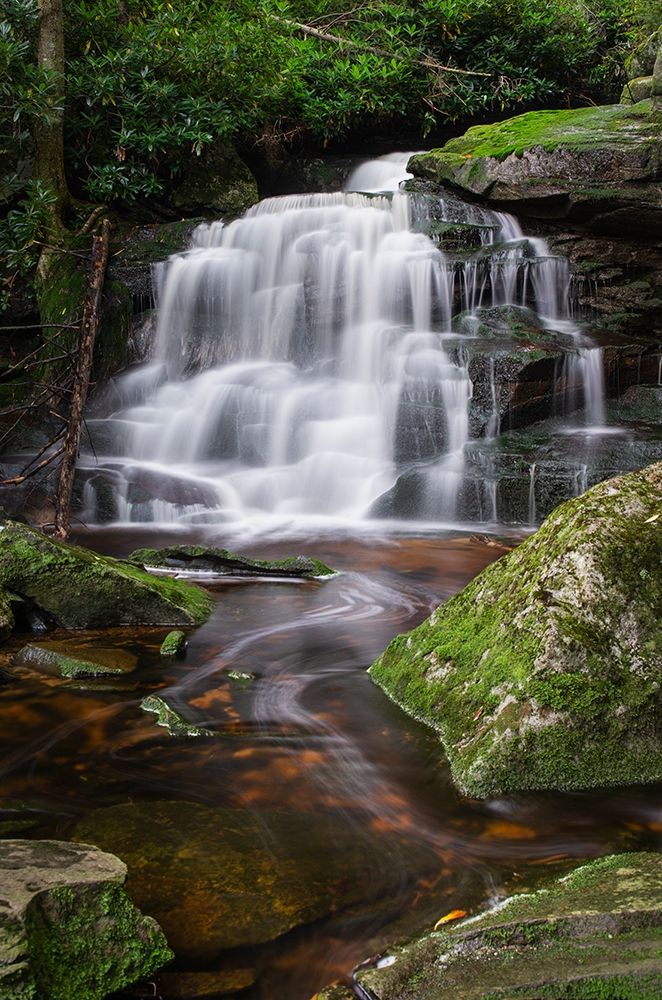 Second Ekalaka Falls-Blackwater Falls State Park-West Virginia art print by Alan Majchrowicz for $57.95 CAD