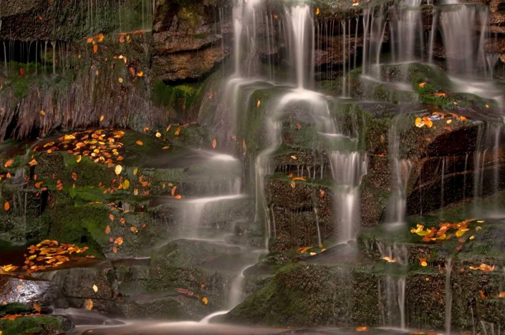 WV, Blackwater Falls Waterfall on rock face art print by Jay OBrien for $57.95 CAD