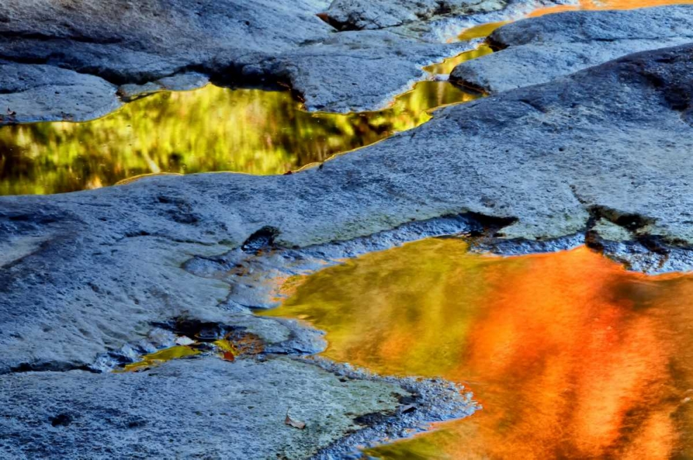WV, Blackwater Falls SP Autumn reflections art print by Jay OBrien for $57.95 CAD