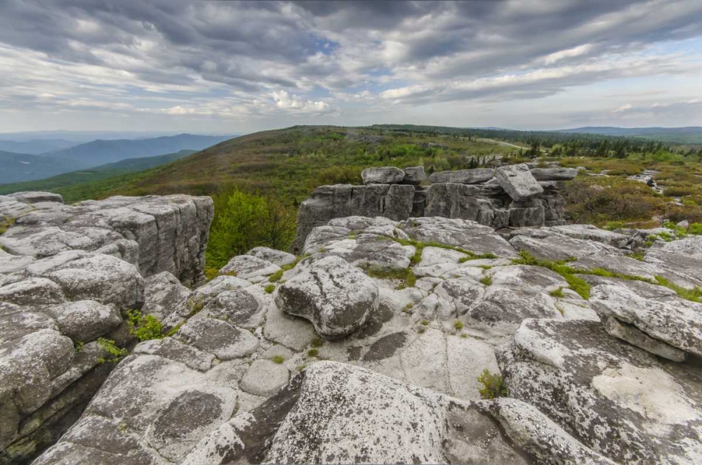 WV, Landscape in Dolly Sods Wilderness Area art print by Jay OBrien for $57.95 CAD