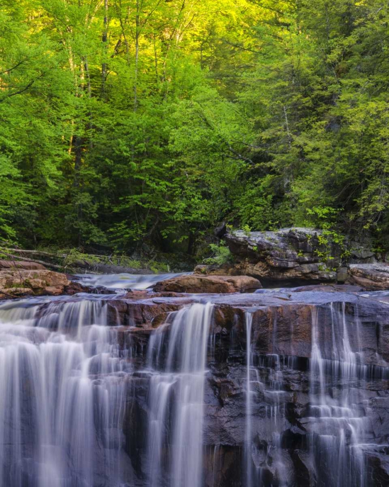 West Virginia, Davis, Blackwater Falls The falls art print by Jay OBrien for $57.95 CAD