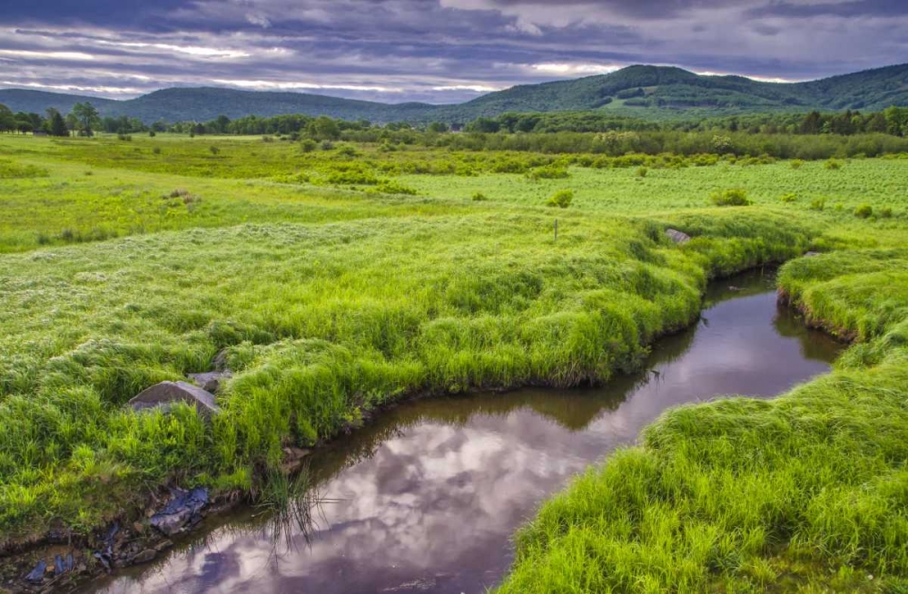 WV, Davis Landscape of the Canaan Valley art print by Jay OBrien for $57.95 CAD