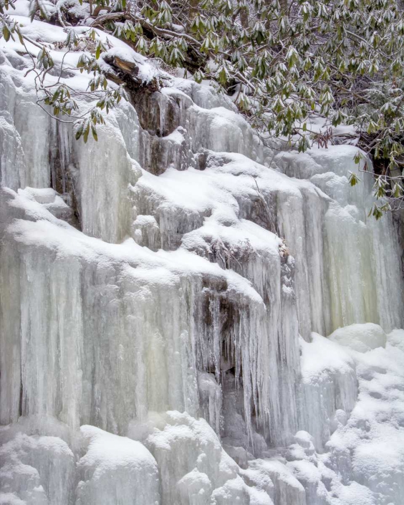 West Virginia, Blackwater Falls Frozen waterfall art print by Jay OBrien for $57.95 CAD