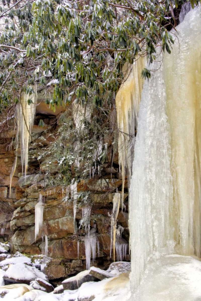 West Virginia, Blackwater Falls Frozen waterfall art print by Jay OBrien for $57.95 CAD