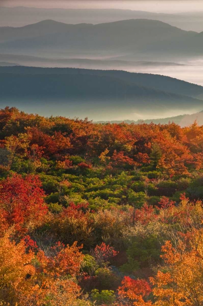WV, Dolly Sods Wilderness Sunrise landscape art print by Jay OBrien for $57.95 CAD