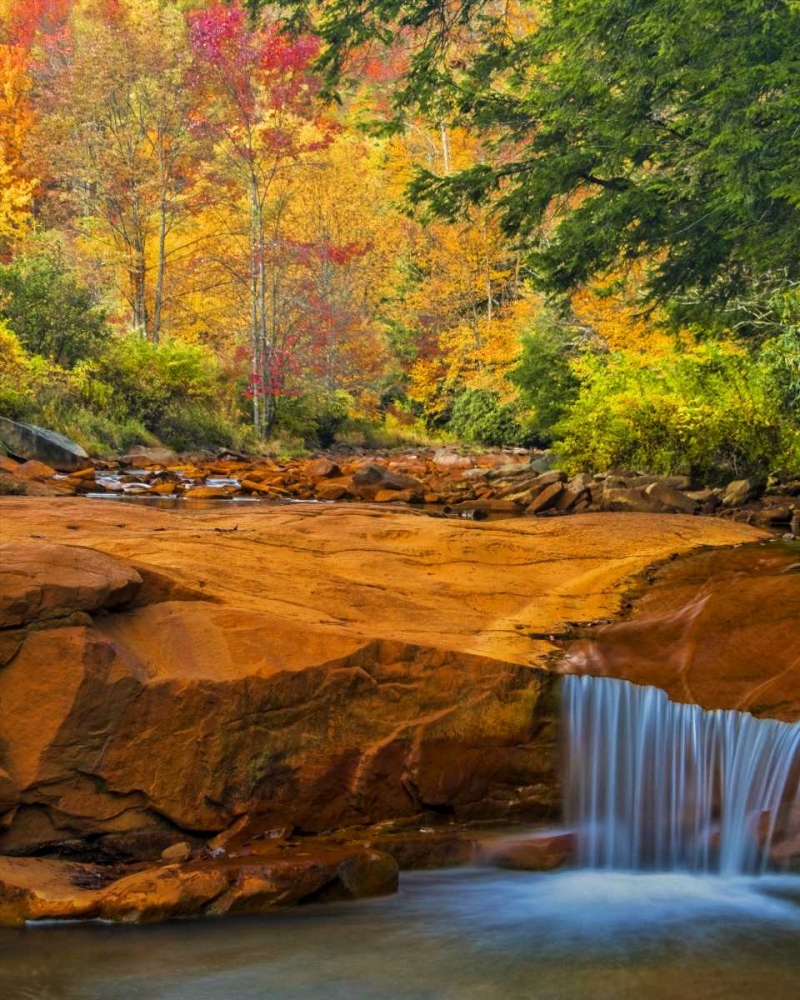WV, Douglass Falls Waterfall over rock outcrop art print by Jay OBrien for $57.95 CAD