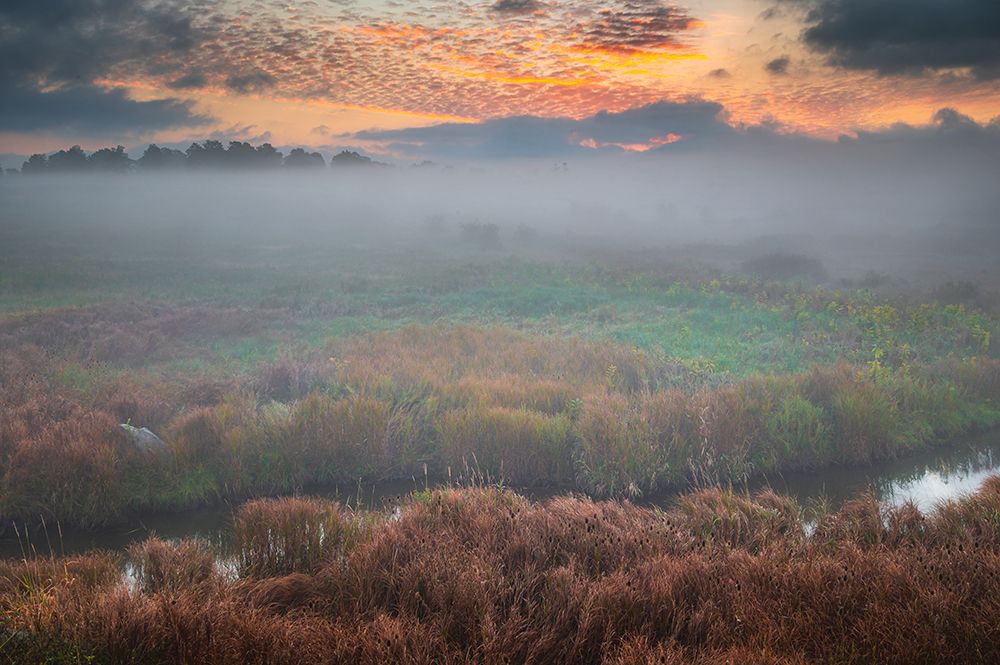 USA-West Virginia-Davis Fog over stream in valley at sunrise art print by Jaynes Gallery for $57.95 CAD