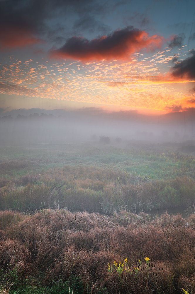 USA-West Virginia-Davis Fog over stream in valley at sunrise art print by Jaynes Gallery for $57.95 CAD