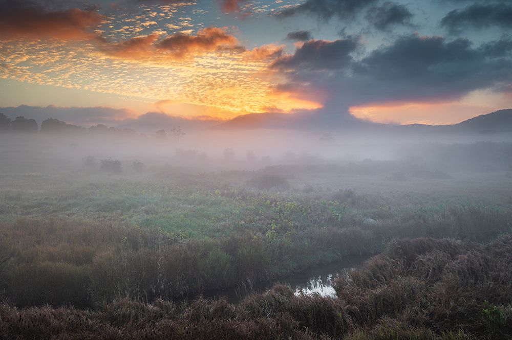 USA-West Virginia-Davis Fog over stream in valley at sunrise art print by Jaynes Gallery for $57.95 CAD