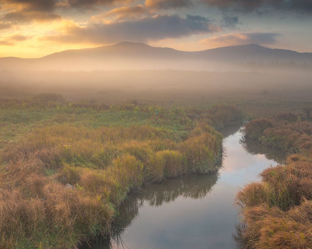 USA-West Virginia-Davis Fog over stream in valley at sunrise art print by Jaynes Gallery for $57.95 CAD