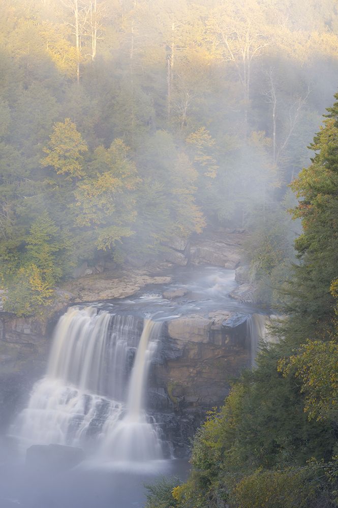 USA-West Virginia-Davis Overview of waterfall in Blackwater State Park art print by Jaynes Gallery for $57.95 CAD