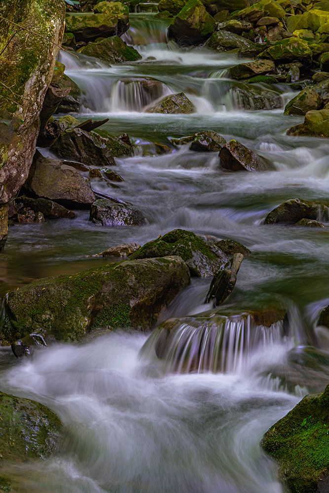USA-West Virginia-New River Gorge National Park Stream rapids in spring art print by Jaynes Gallery for $57.95 CAD