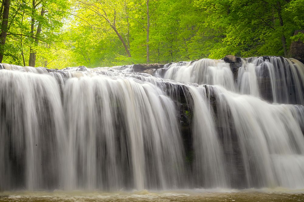 USA-West Virginia-New River Gorge National Park river waterfalls and forest in spring art print by Jaynes Gallery for $57.95 CAD