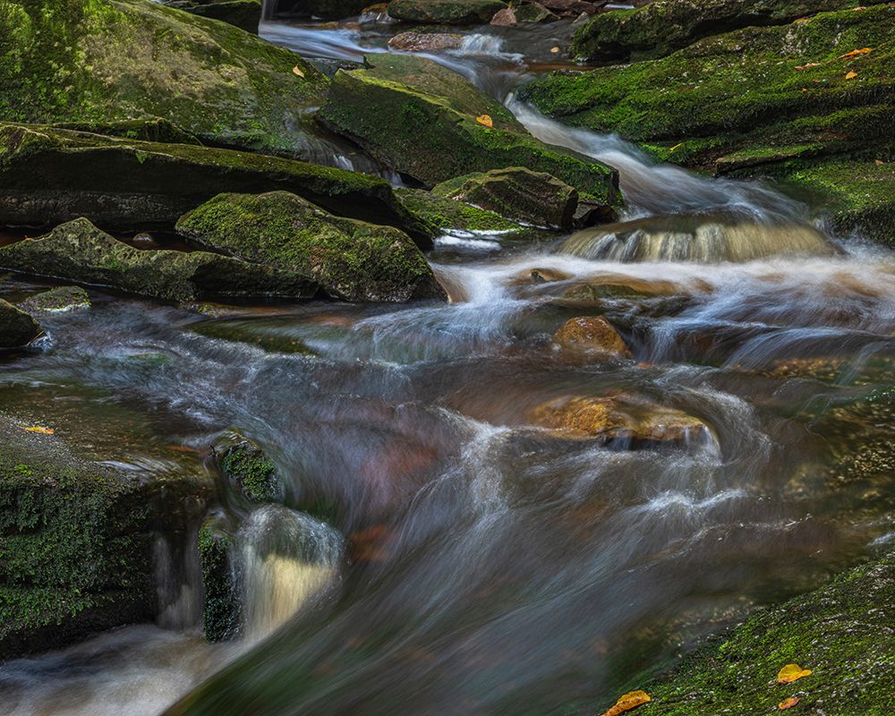 USA-West Virginia-Blackwater Falls State Park Close-up of rapids cascade over rocks art print by Jaynes Gallery for $57.95 CAD