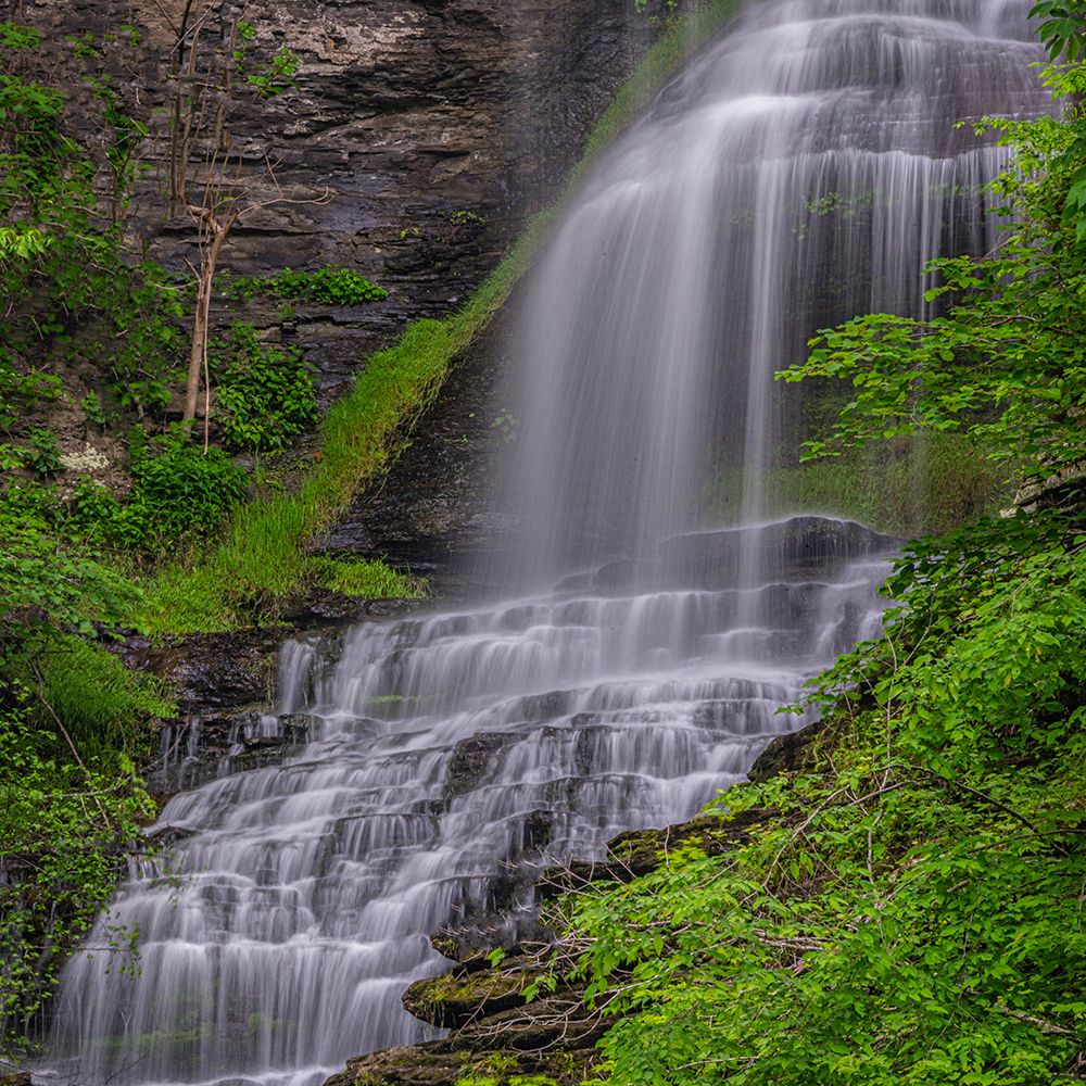 USA-West Virginia-New River Gorge National Park art print by Jaynes Gallery for $57.95 CAD