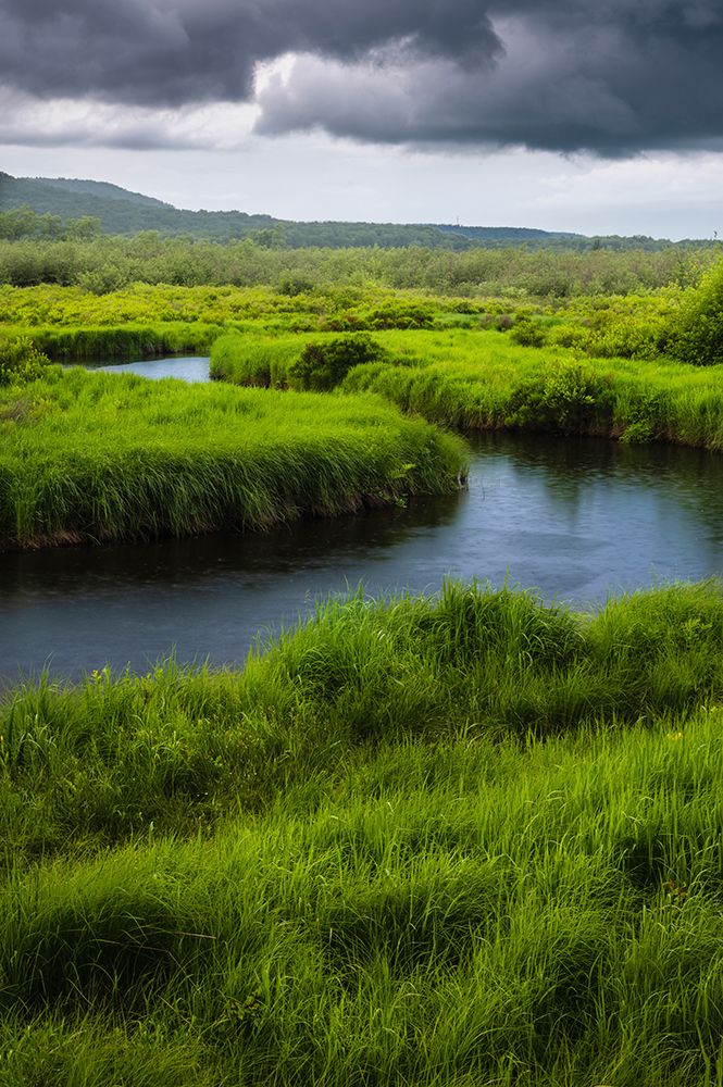 USA-West Virginia-Canaan Valley State Park Storm clouds over stream in grassy valley art print by Jaynes Gallery for $57.95 CAD