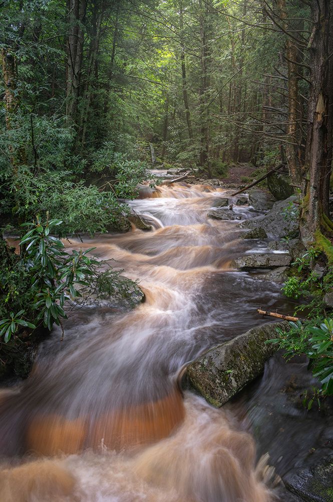 USA-West Virginia-Blackwater Falls State Park Rapids on Blackwater River art print by Jaynes Gallery for $57.95 CAD