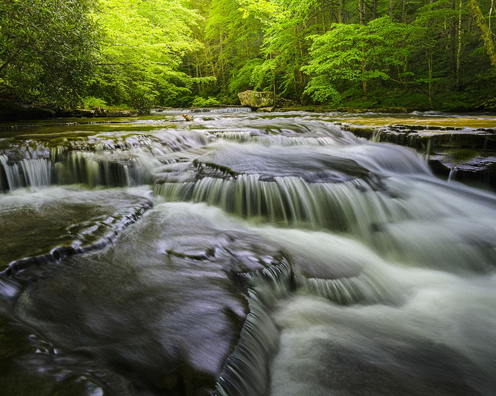 USA, West Virginia, New River Gorge National Park. Landscape with creek waterfall cascades. art print by Jaynes Gallery for $57.95 CAD