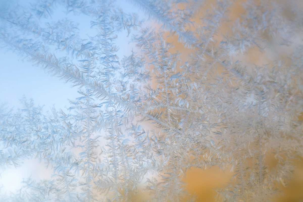 Wisconsin, Madison Frost patterns on glass art print by Don Grall for $57.95 CAD