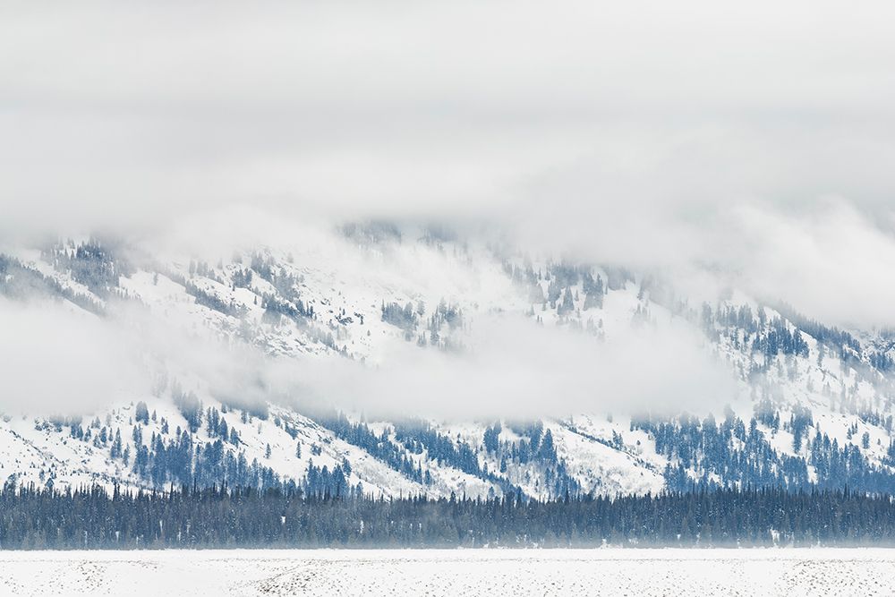 USA, Wyoming, Grand Teton National Park, Jackson. The Teton Range enshrouded in clouds art print by Ann Collins for $57.95 CAD