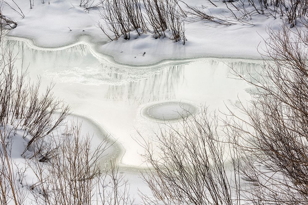 USA, Wyoming, Grand Teton National Park, Jackson. Ice on Pacific Creek art print by Ann Collins for $57.95 CAD