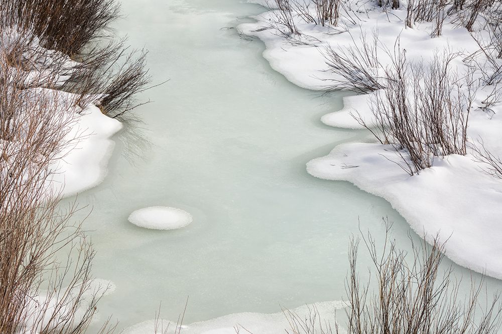 USA, Wyoming, Grand Teton National Park, Jackson. Ice and willows on Pacific Creek art print by Ann Collins for $57.95 CAD