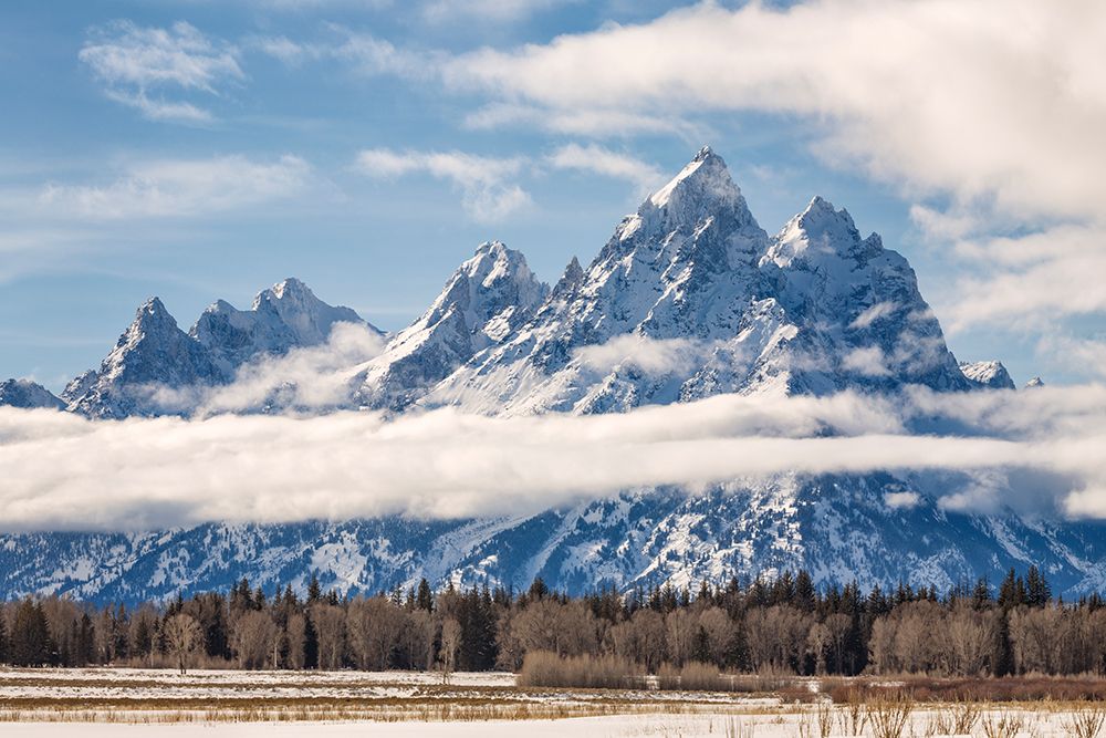 USA, Wyoming, Jackson. Grand Teton National Park, Grand Teton and other peaks emerge from clouds art print by Ann Collins for $57.95 CAD