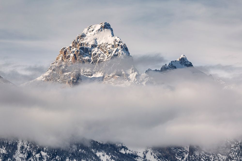 USA, Wyoming, Grand Teton National Park, Jackson. Grand Teton and Mount Owen above the clouds art print by Ann Collins for $57.95 CAD