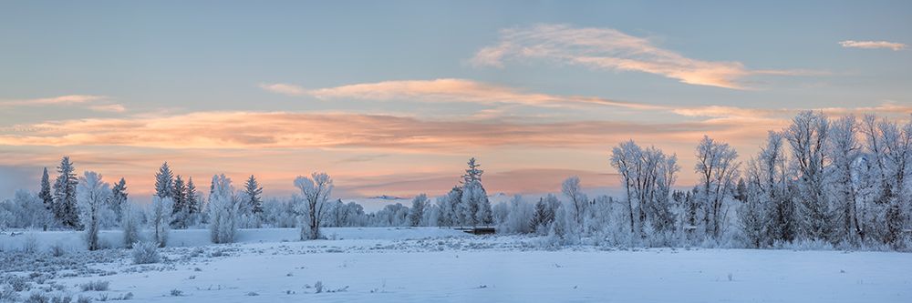 Wyoming, Jackson. Grand Teton NP. Dawn over the parks Moose Junction entrance on a frosty morning art print by Ann Collins for $57.95 CAD
