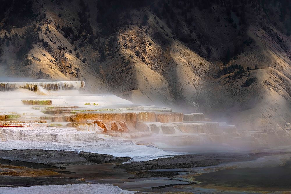 Colorful terrace-Canary Spring-Mammoth Hot Springs-Yellowstone National Park-Wyoming art print by Adam Jones for $57.95 CAD