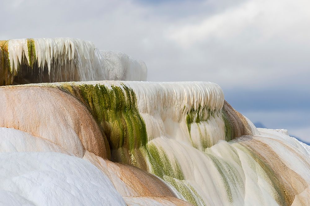 Colorful terrace-Canary Spring-Mammoth Hot Springs-Yellowstone National Park-Wyoming art print by Adam Jones for $57.95 CAD