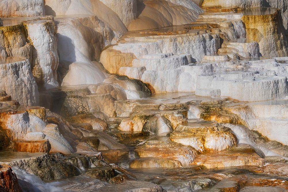 Colorful terrace-Canary Spring-Mammoth Hot Springs-Yellowstone National Park-Wyoming art print by Adam Jones for $57.95 CAD