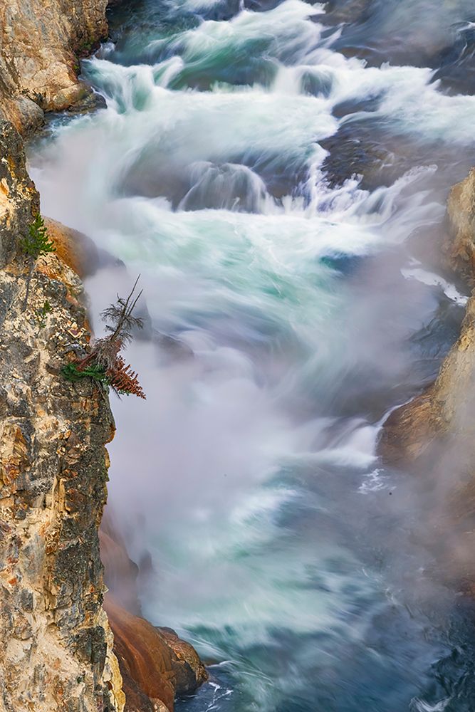 Yellowstone River at sunrise from Artist Point-Yellowstone National Park-Wyoming art print by Adam Jones for $57.95 CAD