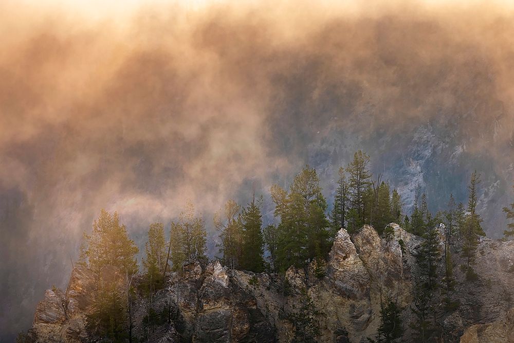 View from Artist Point at sunrise-Grand Canyon of Yellowstone-Yellowstone National Park-Wyoming art print by Adam Jones for $57.95 CAD