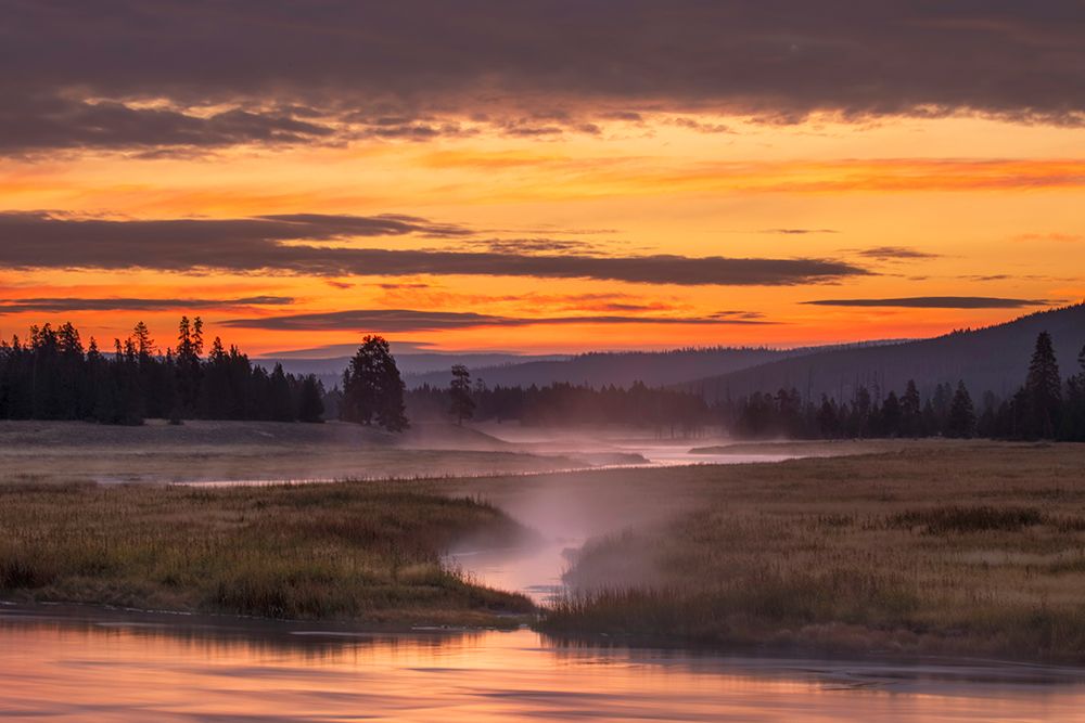 Madison River at sunrise-Yellowstone National Park-Wyoming art print by Adam Jones for $57.95 CAD