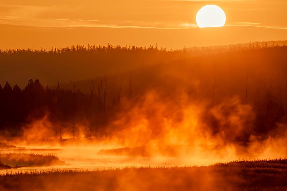 Madison River at sunrise-Yellowstone National Park-Wyoming art print by Adam Jones for $57.95 CAD
