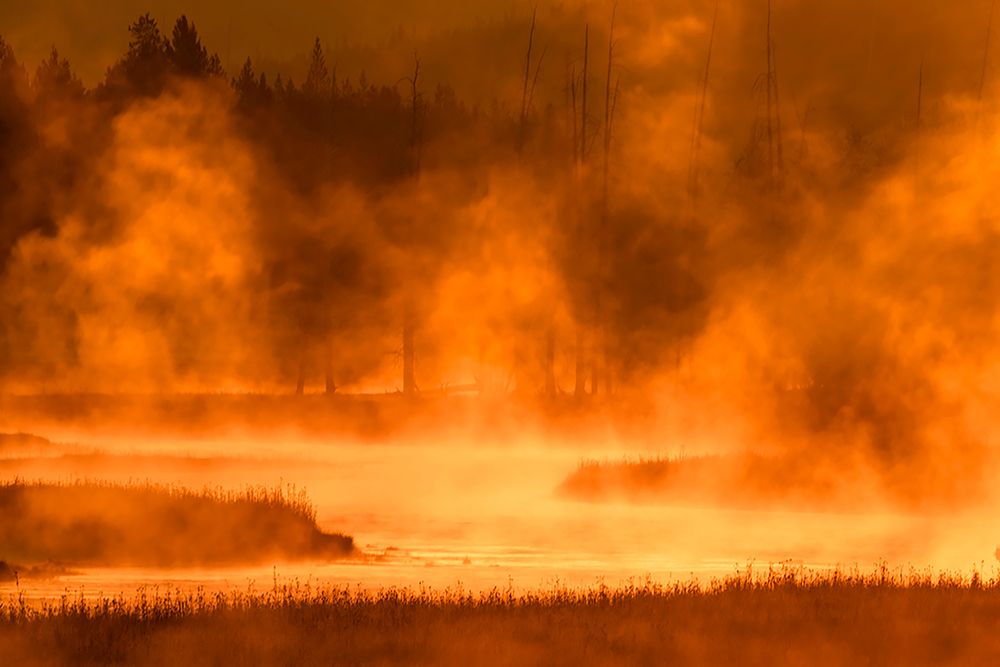 Madison River at sunrise-Yellowstone National Park-Wyoming art print by Adam Jones for $57.95 CAD