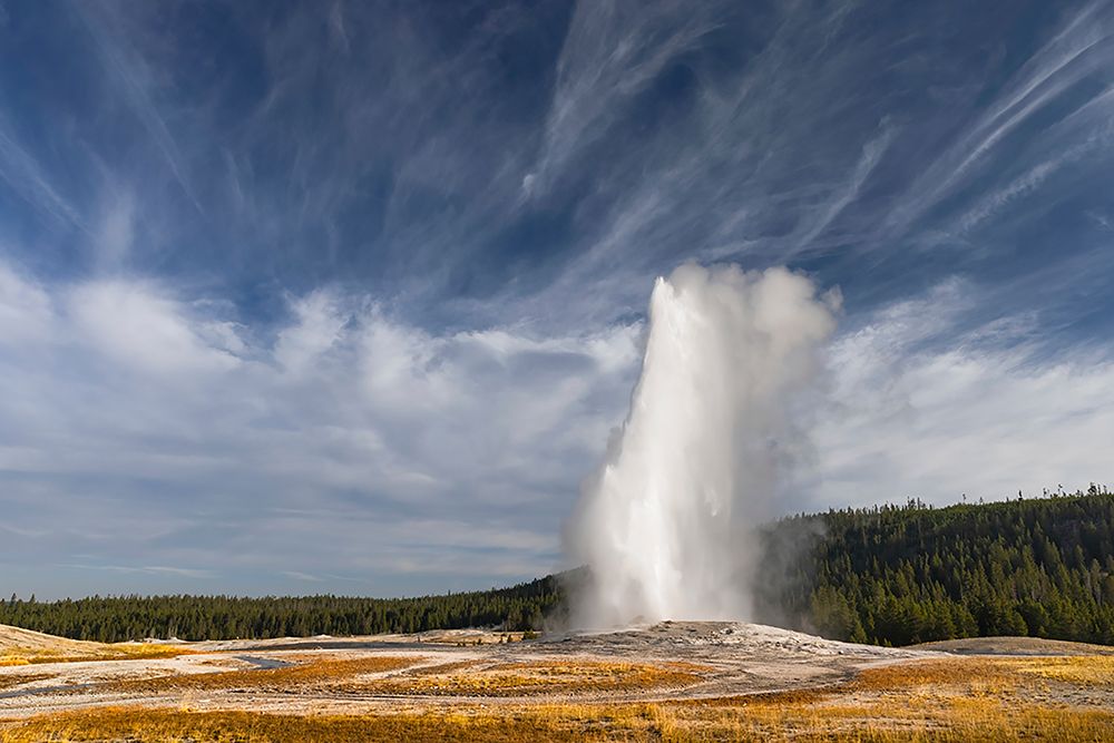 Old Faithful geyser erupting-a cone geyser in the Upper Geyser Basin art print by Adam Jones for $57.95 CAD