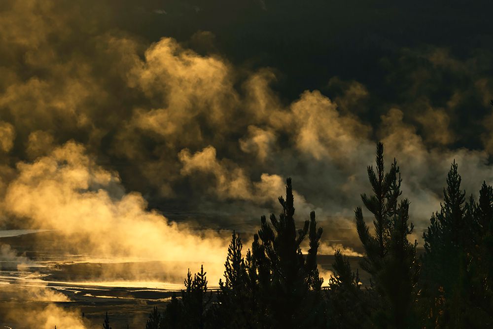 Elevated view of runoff water and bacterial mat-Grand Prismatic spring art print by Adam Jones for $57.95 CAD