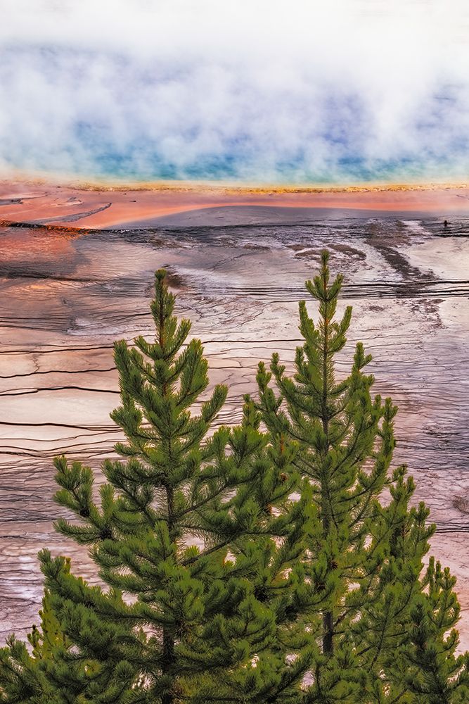 Elevated view of Grand Prismatic spring and colorful bacterial mat-Yellowstone National Park art print by Adam Jones for $57.95 CAD