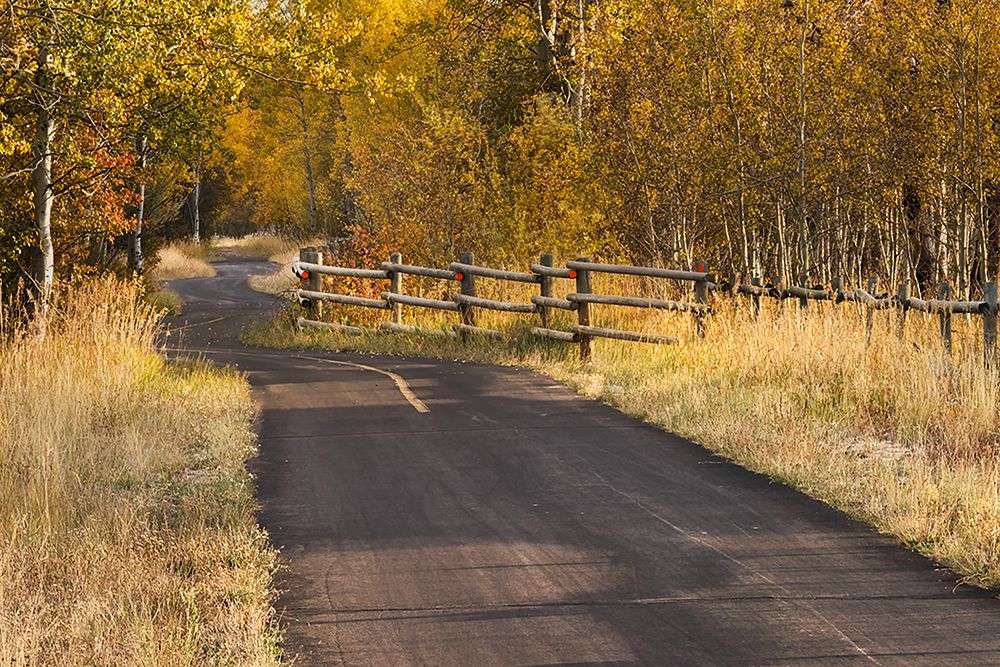 Bike path in autumn-Grand Teton National Park-Wyoming art print by Adam Jones for $57.95 CAD