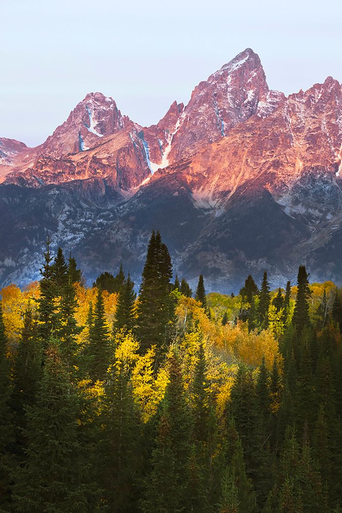 Autumn view of Teton Range at sunrise-Grand Teton National Park-Wyoming art print by Adam Jones for $57.95 CAD