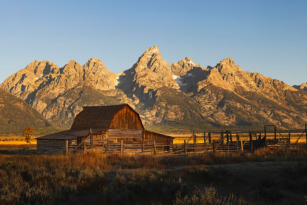 Historical Moulton barn at sunrise-Grand Teton National Park-Wyoming art print by Adam Jones for $57.95 CAD