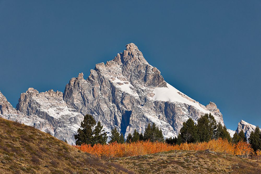 Aspen grove in front of Teton Range-Grand Teton National Park-Wyoming art print by Adam Jones for $57.95 CAD
