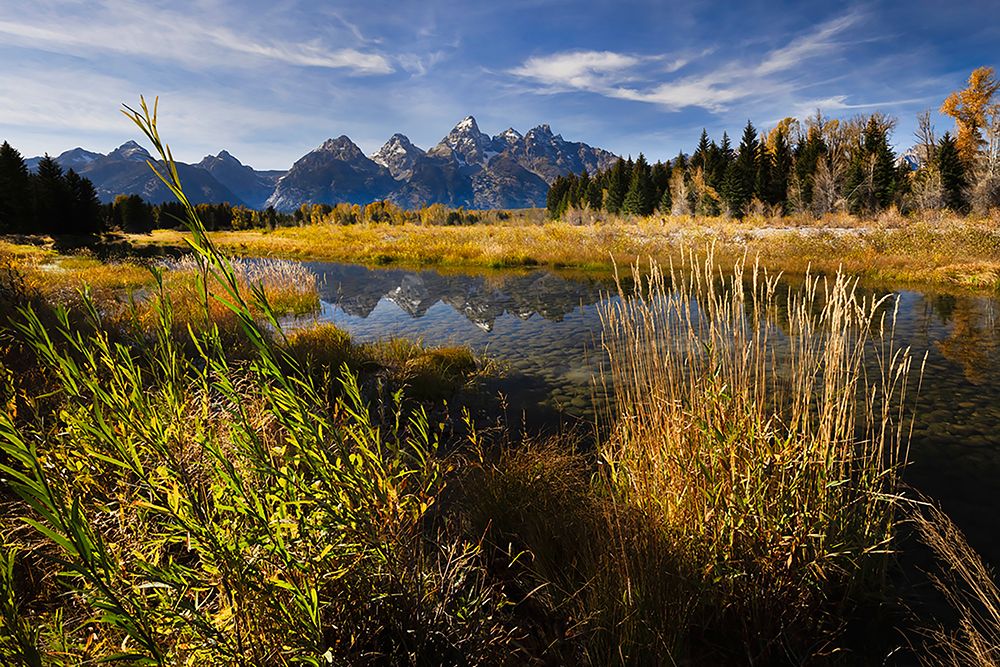 Teton Range from Schwabacher Landing-Grand Teton National Park-Wyoming art print by Adam Jones for $57.95 CAD