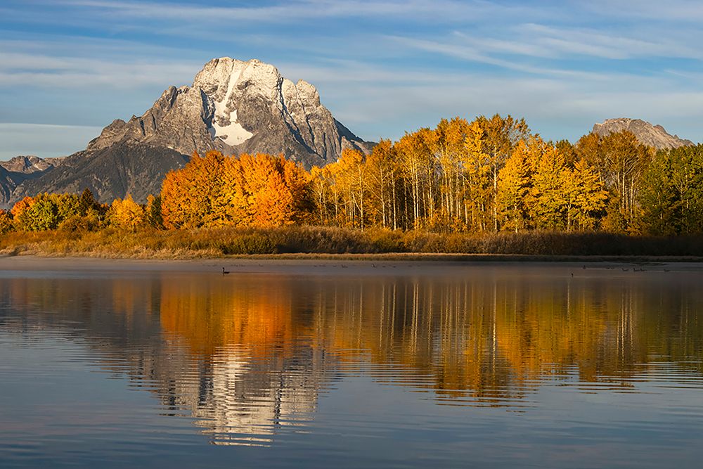 Autumn view of Mount Moran and Snake River-Grand Teton National Park-Wyoming art print by Adam Jones for $57.95 CAD