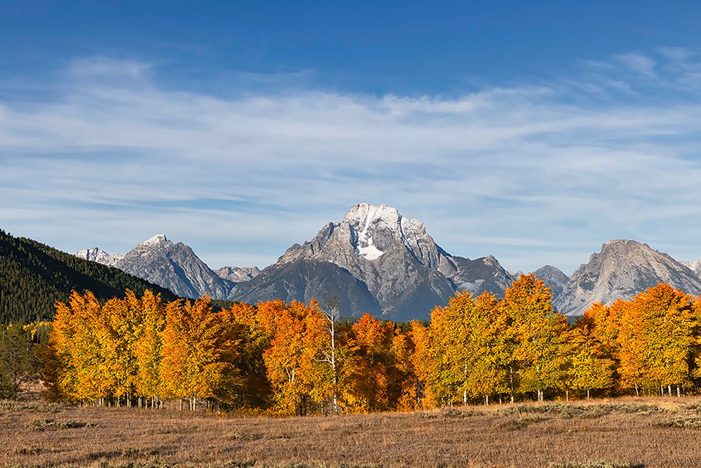 Autumn view of Mount Moran and Snake River-Grand Teton National Park-Wyoming art print by Adam Jones for $57.95 CAD