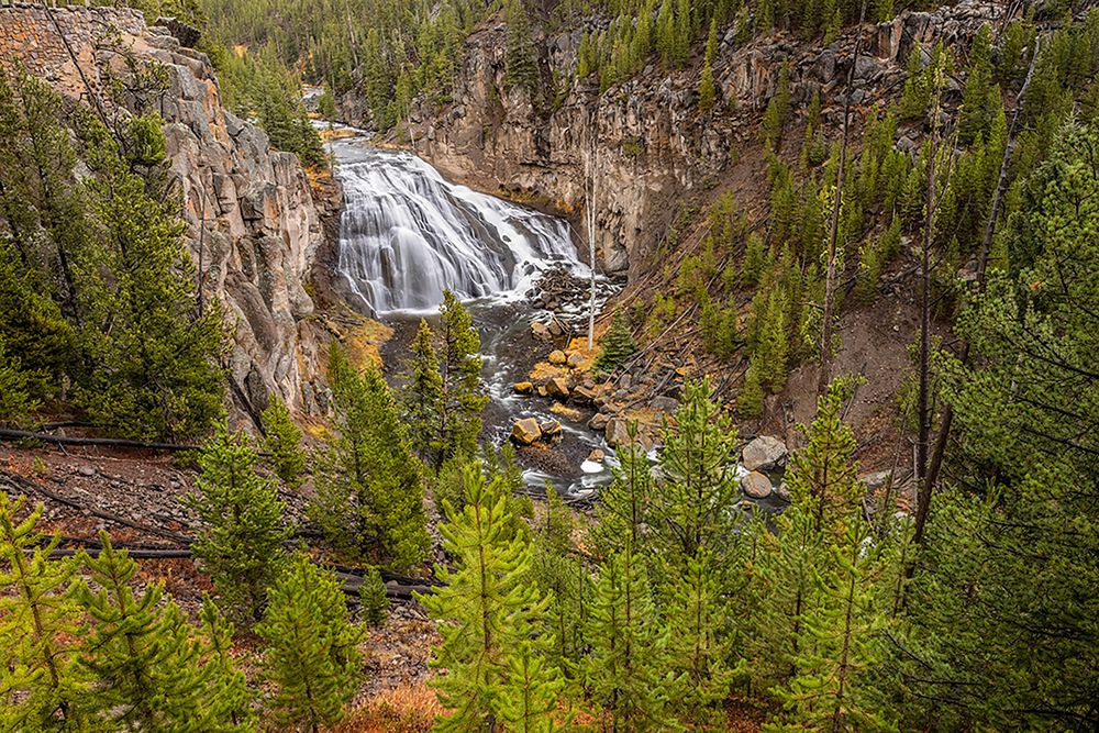 Gibbon Falls-Yellowstone National Park-Wyoming art print by Adam Jones for $57.95 CAD
