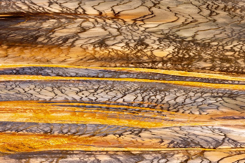 Elevated view of patterns in bacterial mat around Grand Prismatic spring art print by Adam Jones for $57.95 CAD