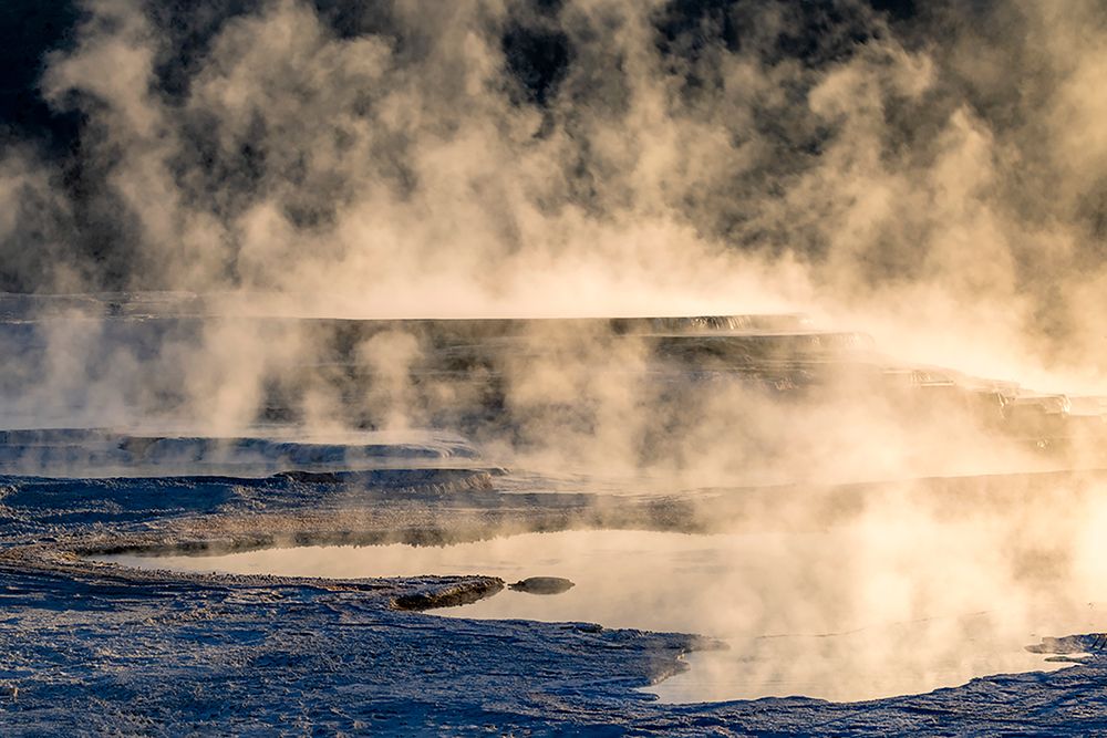 Canary Spring and steaming mist at sunrise-Mammoth Hot Springs-Yellowstone National Park-Wyoming art print by Adam Jones for $57.95 CAD